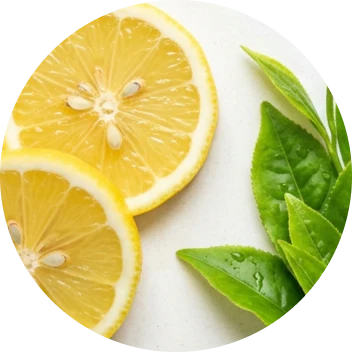 Multi Collagen Protein