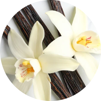 Multi Collagen Protein