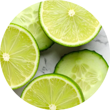 Multi Collagen Protein