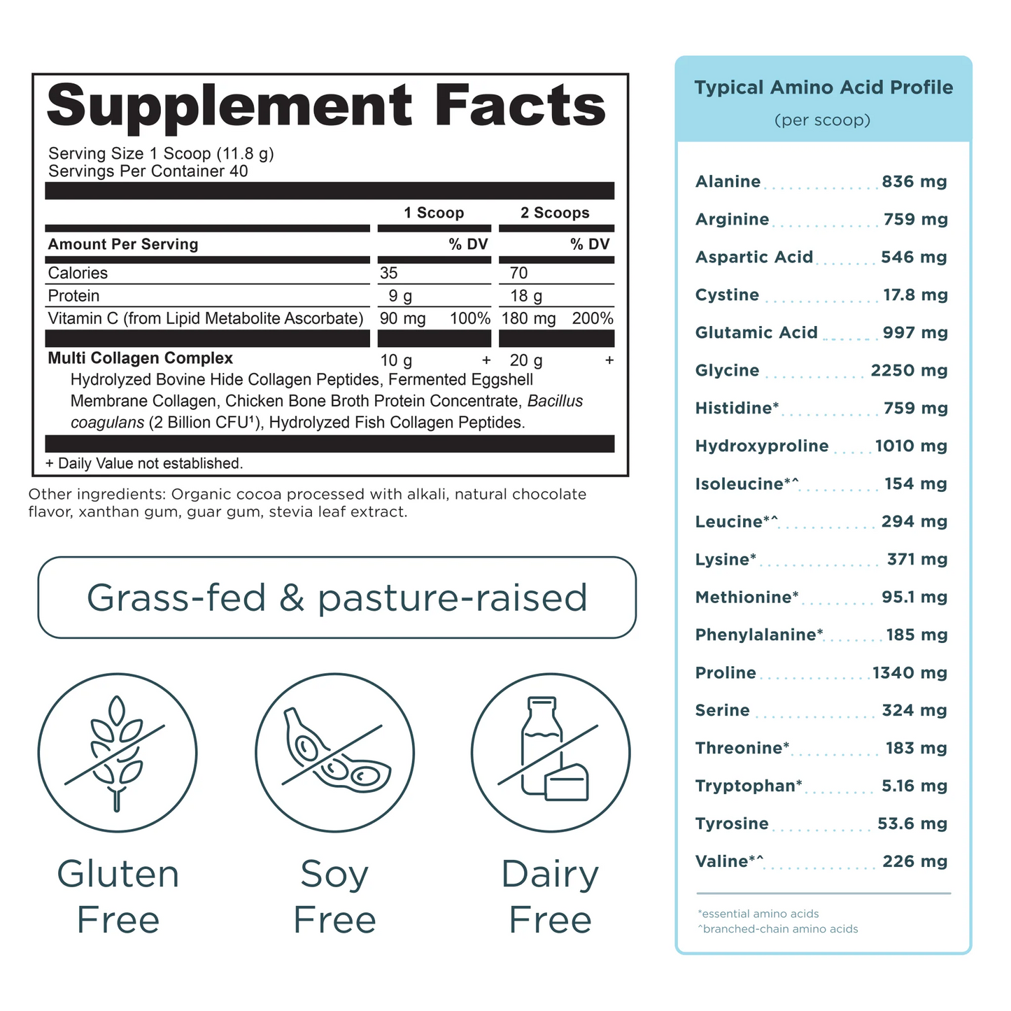 Multi Collagen Protein